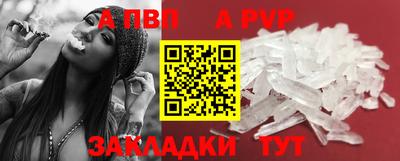 спайс Кингисепп