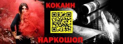 спайс Кингисепп