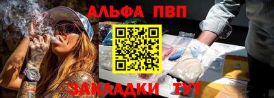 спайс Кингисепп