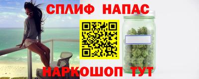 спайс Кингисепп