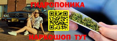 спайс Кингисепп