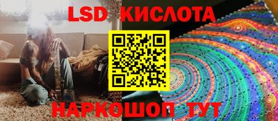 спайс Кингисепп