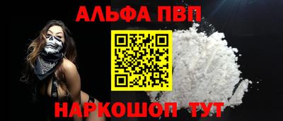 спайс Кингисепп