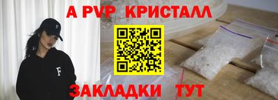 спайс Кингисепп