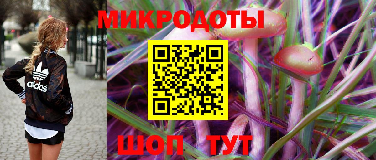 Галлюциногенные грибы Psilocybine cubensis Кохма